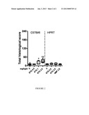 NOVEL FORMULATION AND TREATMENT METHODS diagram and image