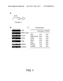 COMPOSITIONS AND METHODS FOR THE TREATMENT OF METABOLIC DISORDERS diagram and image