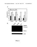 COMPOSITIONS AND METHODS FOR THE TREATMENT OF METABOLIC DISORDERS diagram and image