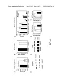 COMPOSITIONS AND METHODS FOR THE TREATMENT OF METABOLIC DISORDERS diagram and image