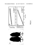 COMPOSITIONS AND METHODS FOR THE TREATMENT OF METABOLIC DISORDERS diagram and image