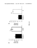 COMPOSITIONS AND METHODS FOR THE TREATMENT OF METABOLIC DISORDERS diagram and image