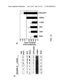 COMPOSITIONS AND METHODS FOR THE TREATMENT OF METABOLIC DISORDERS diagram and image