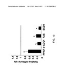 COMPOSITIONS AND METHODS FOR THE TREATMENT OF METABOLIC DISORDERS diagram and image