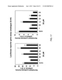 COMPOSITIONS AND METHODS FOR THE TREATMENT OF METABOLIC DISORDERS diagram and image