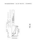 COMPOSITIONS AND METHODS FOR THE TREATMENT OF METABOLIC DISORDERS diagram and image