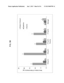 METHODS OF TREATING BACTERIAL VAGINOSIS WITH AQUEOUS-BASED METRONIDAZOLE     GEL FORMULATIONS diagram and image