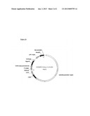 Use of Light Sensitive Genes diagram and image