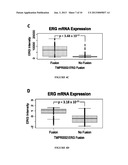 CANCER BIOMARKERS TO PREDICT RECURRENCE AND METASTATIC POTENTIAL diagram and image