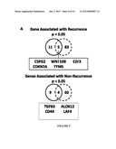 CANCER BIOMARKERS TO PREDICT RECURRENCE AND METASTATIC POTENTIAL diagram and image