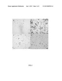 METHOD FOR PRODUCING POLYMERIC POLYAMINES diagram and image