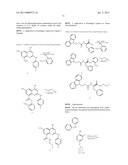 Application of Staudinger Ligation in PET Imaging diagram and image