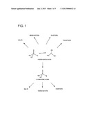 METHODS OF REFINING NATURAL OILS, AND METHODS OF PRODUCING FUEL     COMPOSITIONS diagram and image