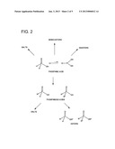 METHODS OF REFINING NATURAL OILS, AND METHODS OF PRODUCING FUEL     COMPOSITIONS diagram and image