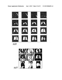 SYSTEMS, METHODS, COMPOSITIONS AND DEVICES FOR IN VIVO MAGNETIC RESONANCE     IMAGING OF LUNGS USING PERFLUORINATED GAS MIXTURES diagram and image