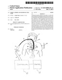 MEDICAL PROBE AND METHOD OF USING SAME diagram and image