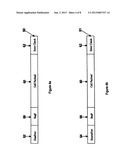 SEGMENTATION AND REASSEMBLY OF DATA FRAMES diagram and image