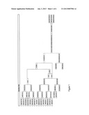 Broccoli type having curds with detached florets diagram and image