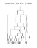 Broccoli type having curds with detached florets diagram and image