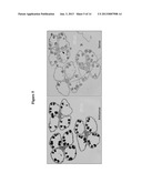 METHODS AND COMPOSITIONS FOR SELECTIVE REGULATION OF PROTEIN EXPRESSION diagram and image