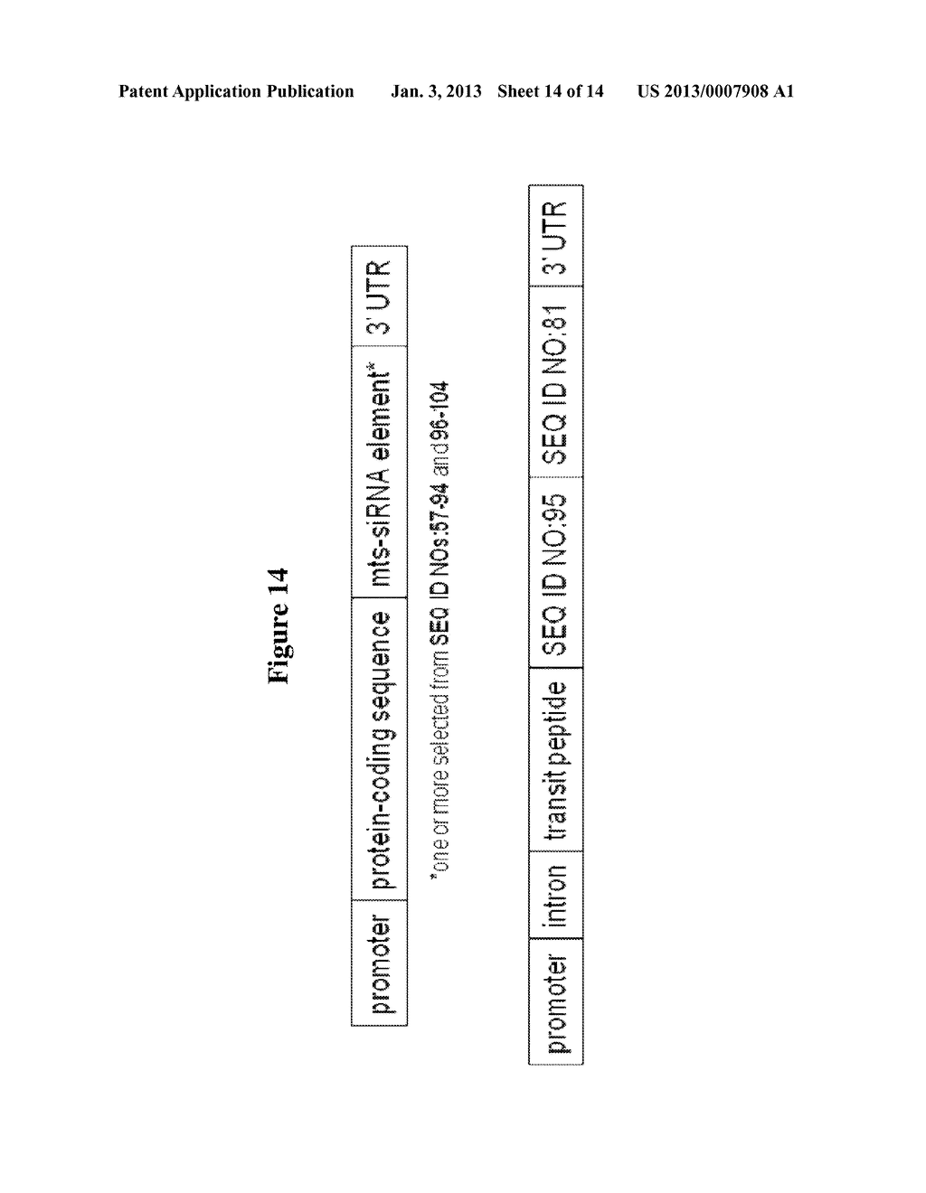 METHODS AND COMPOSITIONS FOR SELECTIVE REGULATION OF PROTEIN EXPRESSION - diagram, schematic, and image 15