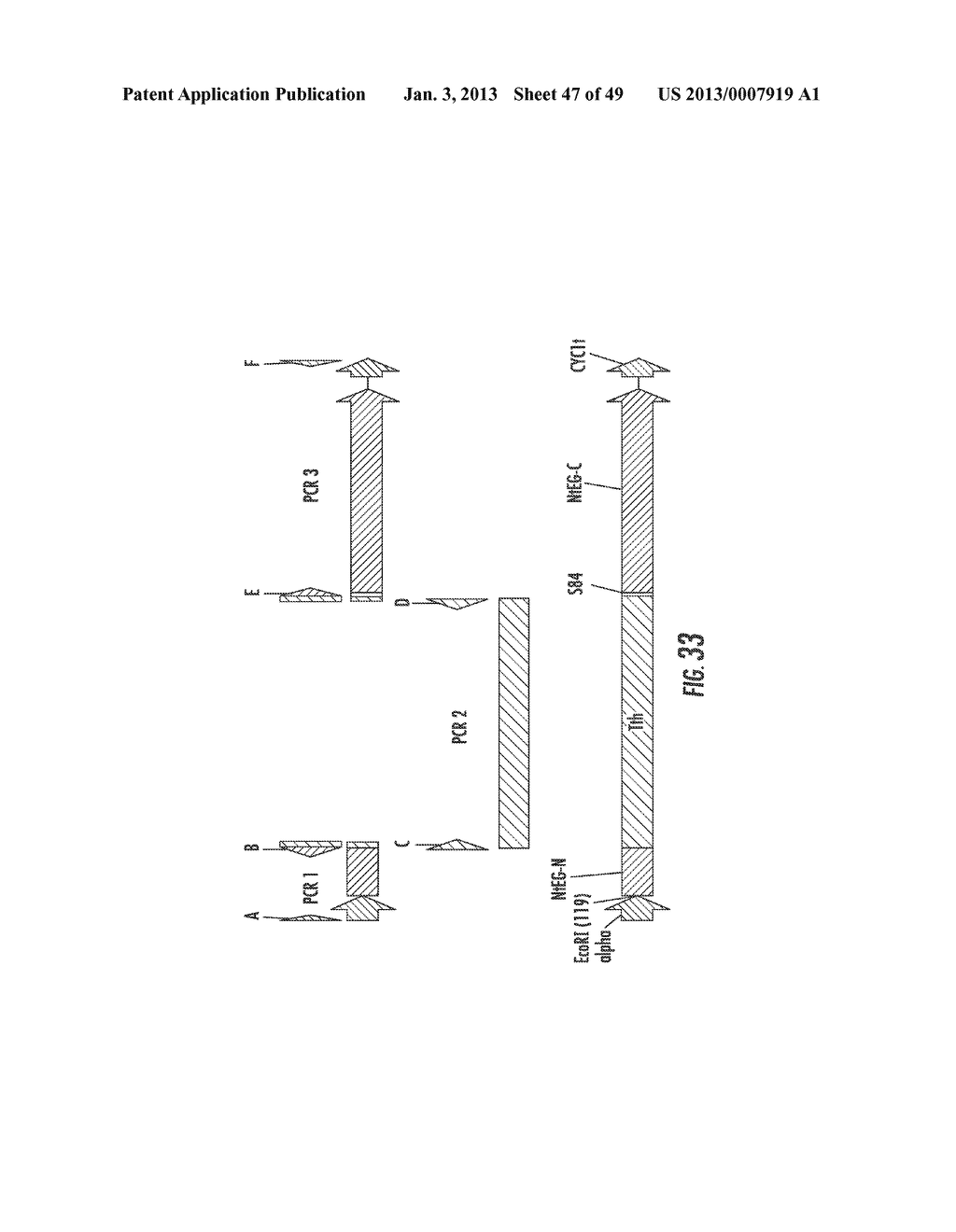 INTEIN-MODIFIED ENZYMES, THEIR PRODUCTION AND INDUSTRIAL APPLICATIONS - diagram, schematic, and image 48