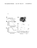 ADMINISTRATION OF PLANT EXPRESSED ORAL TOLERANCE AGENTS diagram and image