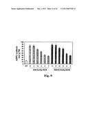 METHOD OF PRODUCTION OF RECOMBINANT SUCROSE SYNTHASE, USE THEREOF IN THE     MANUFACTURE OF KITS FOR DETERMINATION OF SUCROSE, PRODUCTION OF     ADPGLUCOSE AND PRODUCTION OF TRANSGENIC PLANTS WHOSE LEAVES AND STORAGE     ORGANS ACCUMULATE HIGH CONTENTS OF ADPGLUCOSE AND STARCH diagram and image