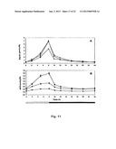 METHOD OF PRODUCTION OF RECOMBINANT SUCROSE SYNTHASE, USE THEREOF IN THE     MANUFACTURE OF KITS FOR DETERMINATION OF SUCROSE, PRODUCTION OF     ADPGLUCOSE AND PRODUCTION OF TRANSGENIC PLANTS WHOSE LEAVES AND STORAGE     ORGANS ACCUMULATE HIGH CONTENTS OF ADPGLUCOSE AND STARCH diagram and image