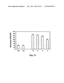 METHOD OF PRODUCTION OF RECOMBINANT SUCROSE SYNTHASE, USE THEREOF IN THE     MANUFACTURE OF KITS FOR DETERMINATION OF SUCROSE, PRODUCTION OF     ADPGLUCOSE AND PRODUCTION OF TRANSGENIC PLANTS WHOSE LEAVES AND STORAGE     ORGANS ACCUMULATE HIGH CONTENTS OF ADPGLUCOSE AND STARCH diagram and image