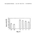 METHOD OF PRODUCTION OF RECOMBINANT SUCROSE SYNTHASE, USE THEREOF IN THE     MANUFACTURE OF KITS FOR DETERMINATION OF SUCROSE, PRODUCTION OF     ADPGLUCOSE AND PRODUCTION OF TRANSGENIC PLANTS WHOSE LEAVES AND STORAGE     ORGANS ACCUMULATE HIGH CONTENTS OF ADPGLUCOSE AND STARCH diagram and image