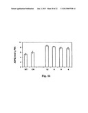 METHOD OF PRODUCTION OF RECOMBINANT SUCROSE SYNTHASE, USE THEREOF IN THE     MANUFACTURE OF KITS FOR DETERMINATION OF SUCROSE, PRODUCTION OF     ADPGLUCOSE AND PRODUCTION OF TRANSGENIC PLANTS WHOSE LEAVES AND STORAGE     ORGANS ACCUMULATE HIGH CONTENTS OF ADPGLUCOSE AND STARCH diagram and image