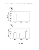 METHOD OF PRODUCTION OF RECOMBINANT SUCROSE SYNTHASE, USE THEREOF IN THE     MANUFACTURE OF KITS FOR DETERMINATION OF SUCROSE, PRODUCTION OF     ADPGLUCOSE AND PRODUCTION OF TRANSGENIC PLANTS WHOSE LEAVES AND STORAGE     ORGANS ACCUMULATE HIGH CONTENTS OF ADPGLUCOSE AND STARCH diagram and image