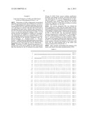 METHOD OF PRODUCTION OF RECOMBINANT SUCROSE SYNTHASE, USE THEREOF IN THE     MANUFACTURE OF KITS FOR DETERMINATION OF SUCROSE, PRODUCTION OF     ADPGLUCOSE AND PRODUCTION OF TRANSGENIC PLANTS WHOSE LEAVES AND STORAGE     ORGANS ACCUMULATE HIGH CONTENTS OF ADPGLUCOSE AND STARCH diagram and image