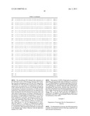 METHOD OF PRODUCTION OF RECOMBINANT SUCROSE SYNTHASE, USE THEREOF IN THE     MANUFACTURE OF KITS FOR DETERMINATION OF SUCROSE, PRODUCTION OF     ADPGLUCOSE AND PRODUCTION OF TRANSGENIC PLANTS WHOSE LEAVES AND STORAGE     ORGANS ACCUMULATE HIGH CONTENTS OF ADPGLUCOSE AND STARCH diagram and image