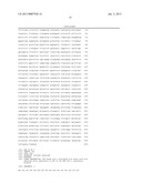 METHOD OF PRODUCTION OF RECOMBINANT SUCROSE SYNTHASE, USE THEREOF IN THE     MANUFACTURE OF KITS FOR DETERMINATION OF SUCROSE, PRODUCTION OF     ADPGLUCOSE AND PRODUCTION OF TRANSGENIC PLANTS WHOSE LEAVES AND STORAGE     ORGANS ACCUMULATE HIGH CONTENTS OF ADPGLUCOSE AND STARCH diagram and image