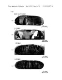 Ni-BASE DUAL MULTI-PHASE INTERMETALLIC COMPOUND ALLOY CONTAINING Nb AND C,     AND MANUFACTURING METHOD FOR SAME diagram and image