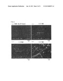 Ni-BASE DUAL MULTI-PHASE INTERMETALLIC COMPOUND ALLOY CONTAINING Nb AND C,     AND MANUFACTURING METHOD FOR SAME diagram and image