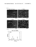 Ni-BASE DUAL MULTI-PHASE INTERMETALLIC COMPOUND ALLOY CONTAINING Nb AND C,     AND MANUFACTURING METHOD FOR SAME diagram and image