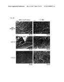 Ni-BASE DUAL MULTI-PHASE INTERMETALLIC COMPOUND ALLOY CONTAINING Nb AND C,     AND MANUFACTURING METHOD FOR SAME diagram and image