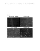 Ni-BASE DUAL MULTI-PHASE INTERMETALLIC COMPOUND ALLOY CONTAINING Nb AND C,     AND MANUFACTURING METHOD FOR SAME diagram and image