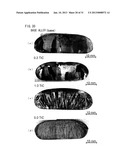 Ni-BASE DUAL MULTI-PHASE INTERMETALLIC COMPOUND ALLOY CONTAINING Nb AND C,     AND MANUFACTURING METHOD FOR SAME diagram and image