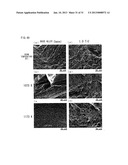 Ni-BASE DUAL MULTI-PHASE INTERMETALLIC COMPOUND ALLOY CONTAINING Nb AND C,     AND MANUFACTURING METHOD FOR SAME diagram and image