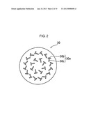 PLASMA PROCESSING APPARATUS diagram and image