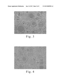 COCRPT-BASED ALLOY SPUTTERING TARGETS WITH COBALT OXIDE AND NON-MAGNETIC     OXIDE AND MANUFACTURING METHODS THEREOF diagram and image