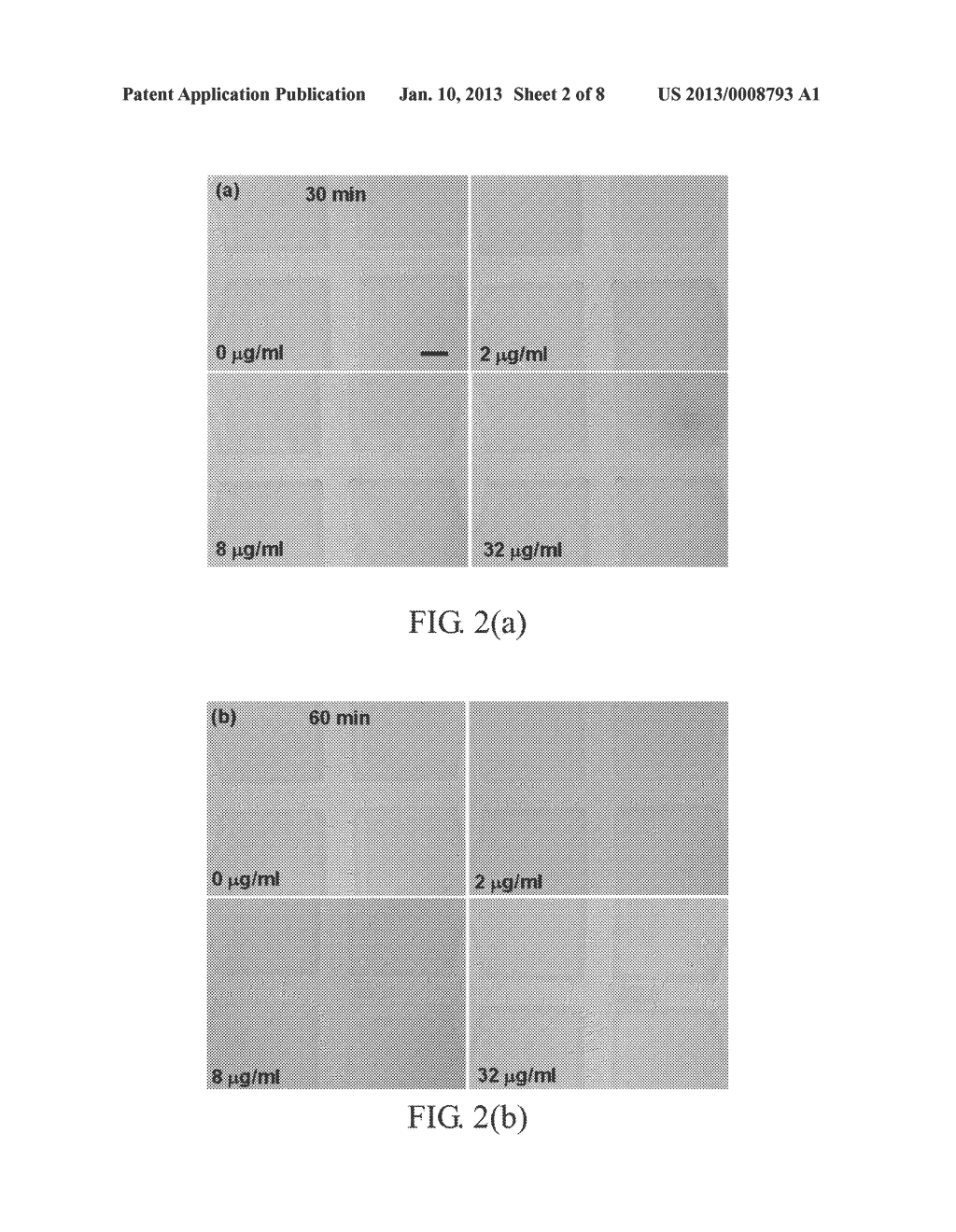 METHOD FOR ANTIBIOTIC SUSCEPTIBILITY TESTING AND DETERMINING MINIMUM     INHIBITORY CONCENTRATION OF THE ANTIBIOTIC - diagram, schematic, and image 03