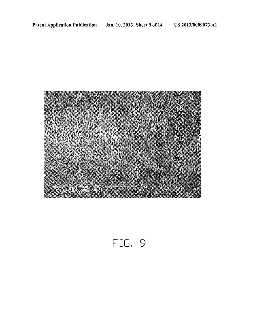 TRANSMISSION ELECTRON MICROSCOPE MICRO-GRID - diagram, schematic, and image 10