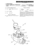 Eccentric Diaphragm Valve diagram and image