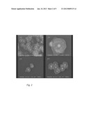 WAVELENGTH SELECTIVE SERS NANOTAGS diagram and image