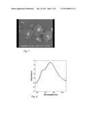 WAVELENGTH SELECTIVE SERS NANOTAGS diagram and image